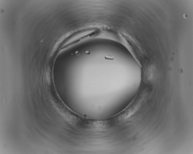 X0000071960064200607071503