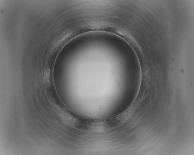 X0000071960066200607071503