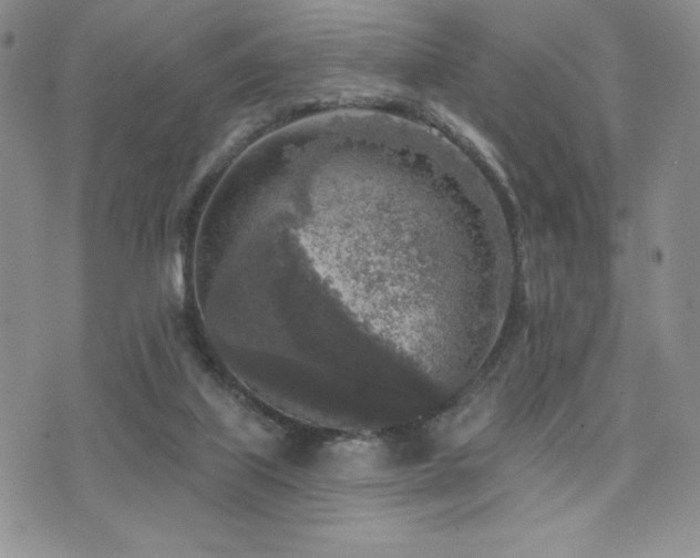 X0000071960067200607071503