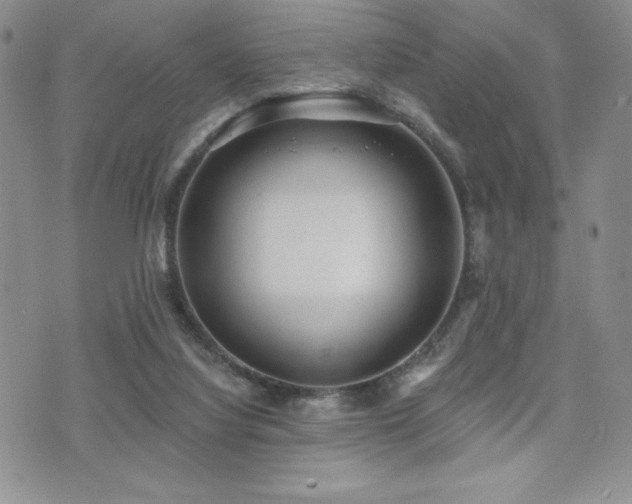 X0000071960068200607071503