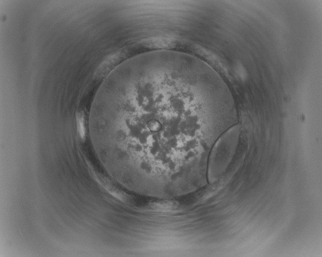 X0000071960069200607071503