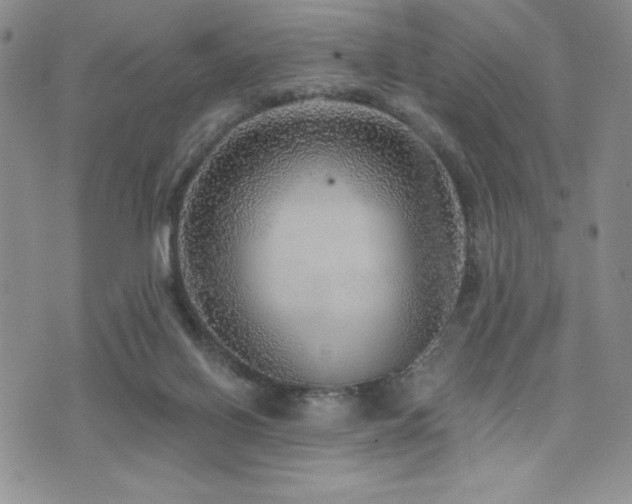 X0000071960070200607071503