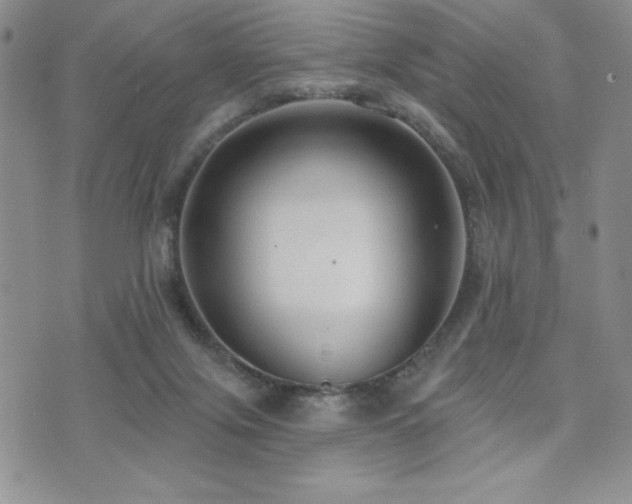 X0000071960071200607071503