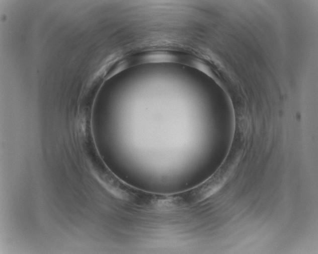 X0000071960072200607071503