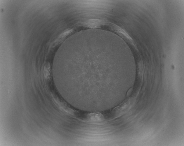 X0000071960073200607071503