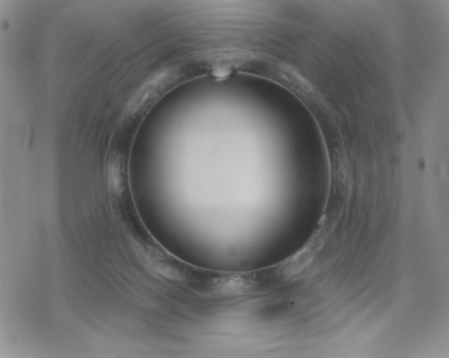 X0000071960074200607071503