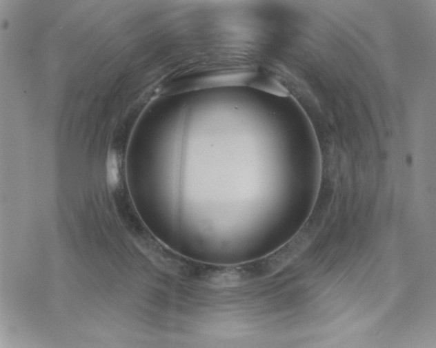 X0000071960075200607071503