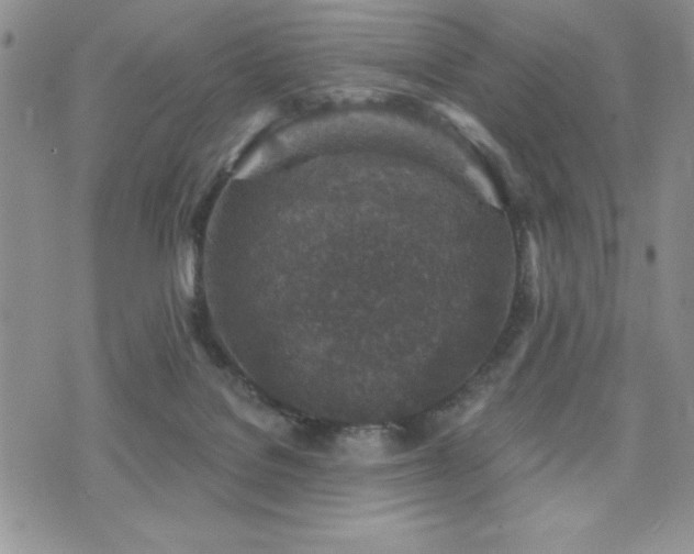 X0000071960076200607071503