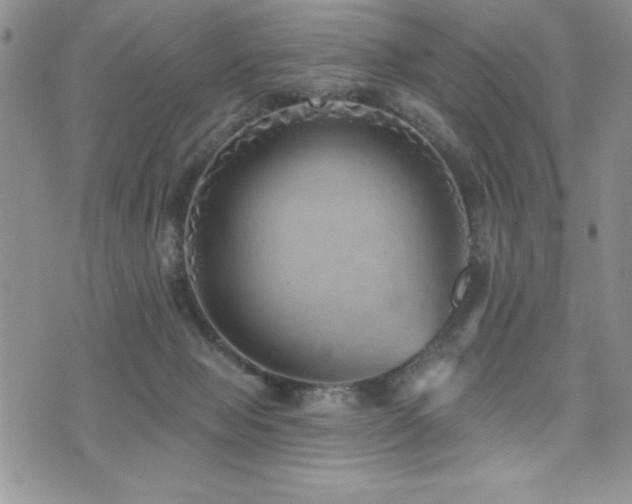 X0000071960077200607071503