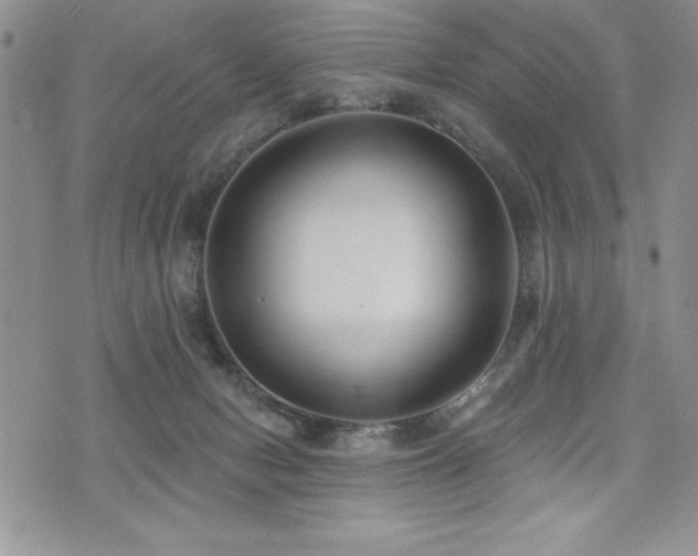 X0000071960078200607071503