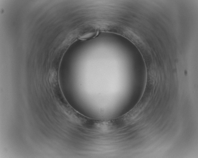 X0000071960079200607071503