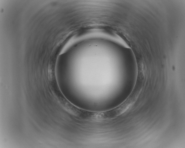 X0000071960080200607071503