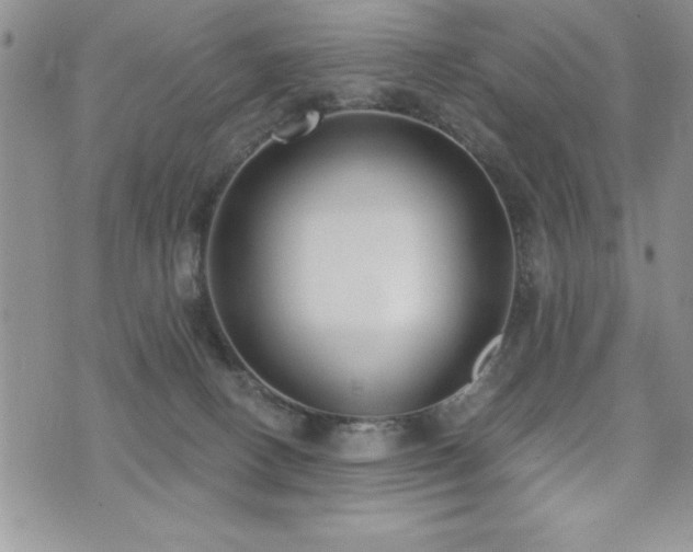 X0000071960082200607071503