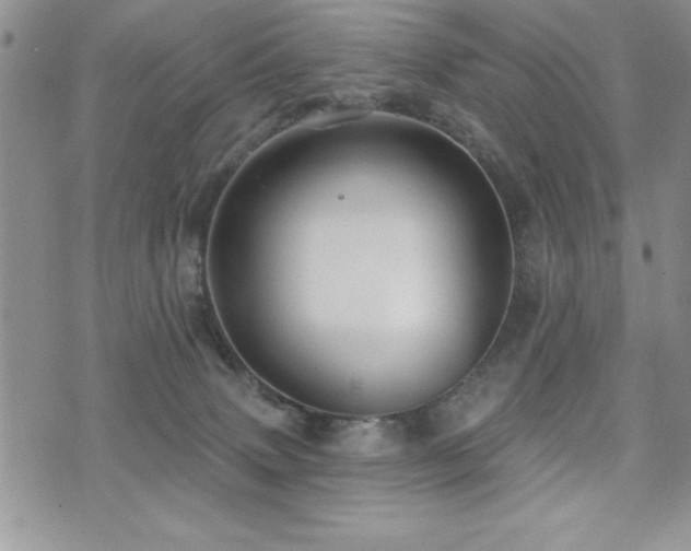 X0000071960083200607071503