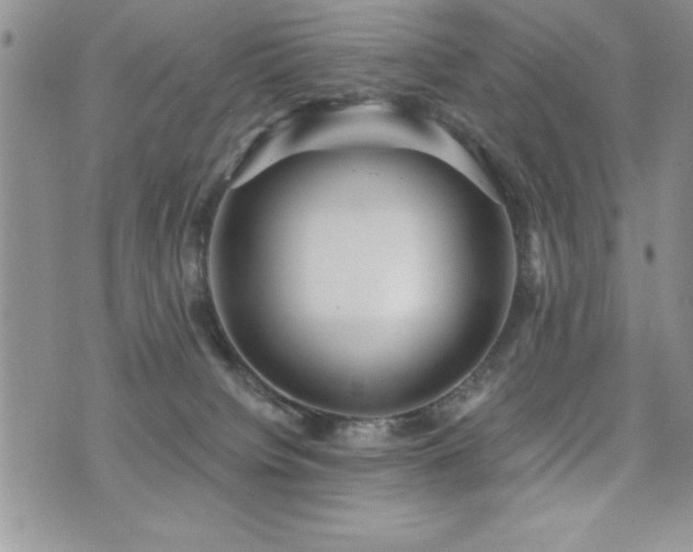 X0000071960084200607071503