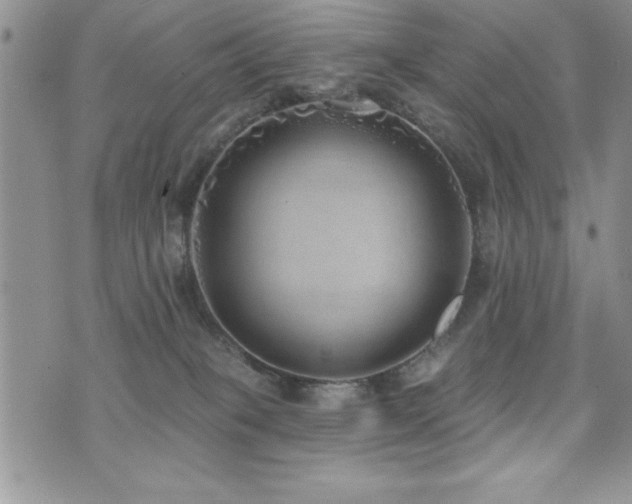 X0000071960085200607071503