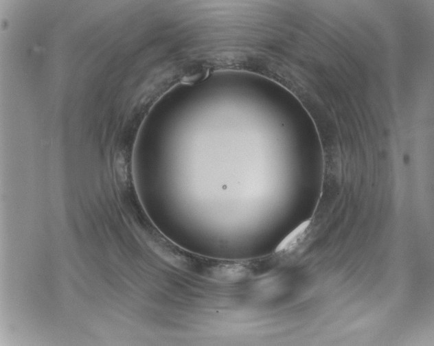 X0000071960086200607071503