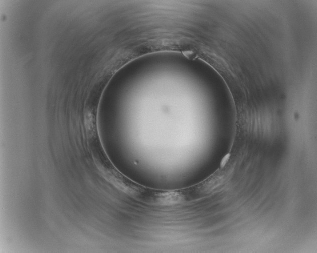 X0000071960087200607071503