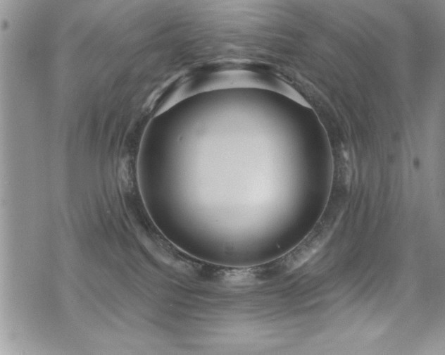 X0000071960088200607071503