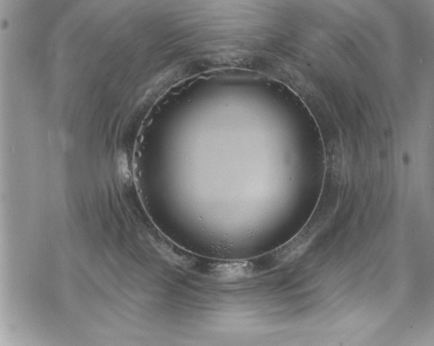 X0000071960089200607071503