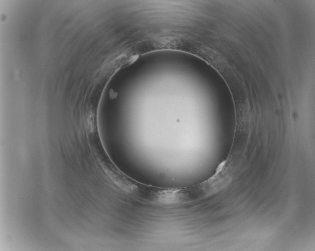 X0000071960090200607071503