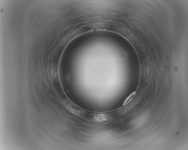 X0000071960091200607071503