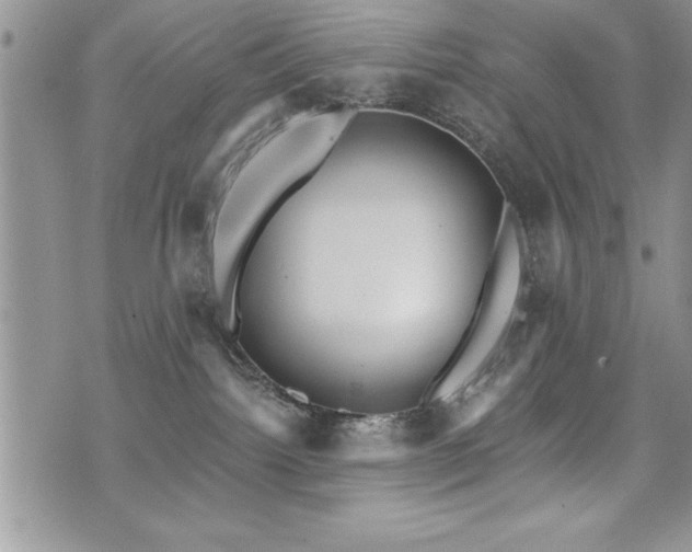 X0000071960092200607071503