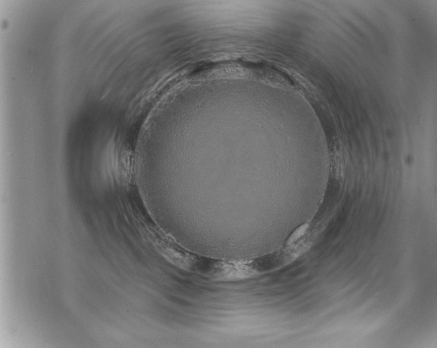 X0000071960093200607071503