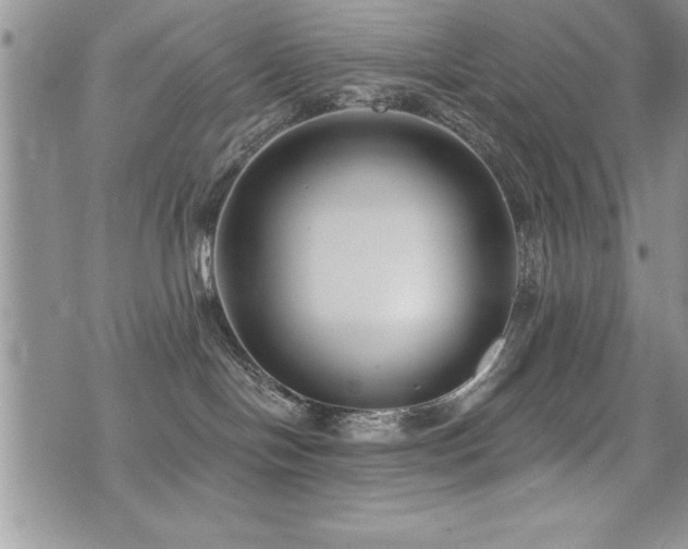 X0000071960094200607071503