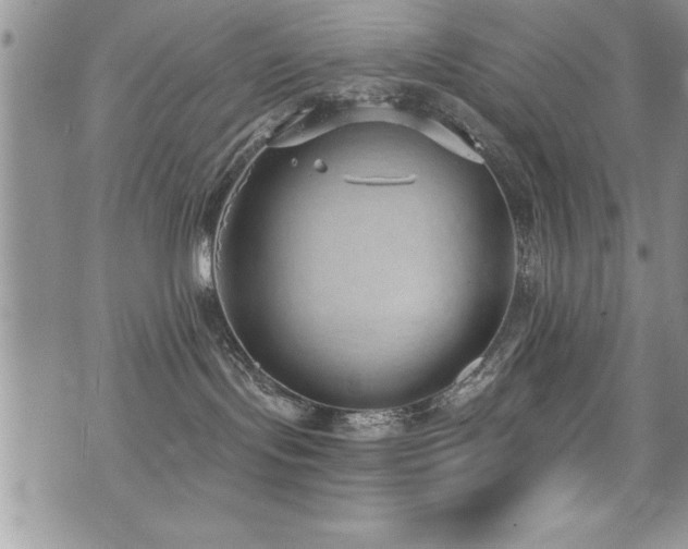 X0000071960095200607071503