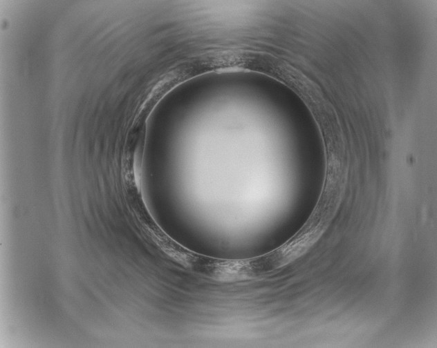 X0000071960096200607071503