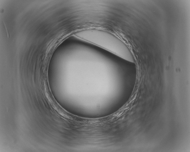 X0000071960097200607071503