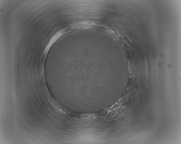 X0000071960099200607071503