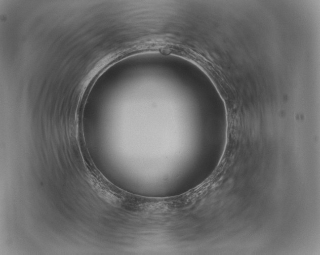 X0000071960100200607071503