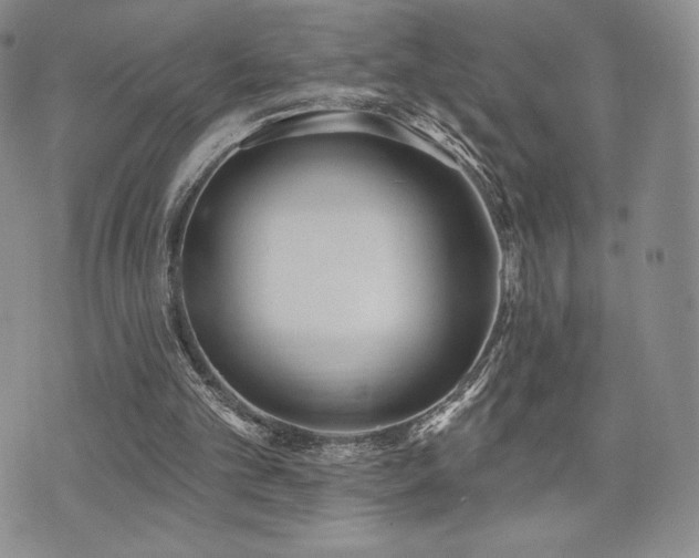 X0000071960101200607071503