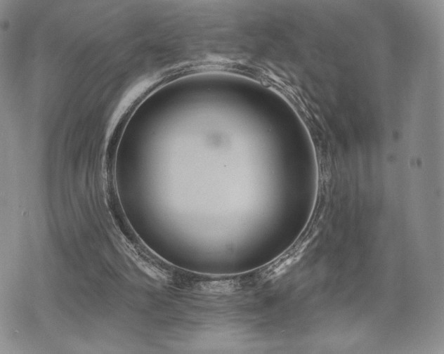 X0000071960102200607071503