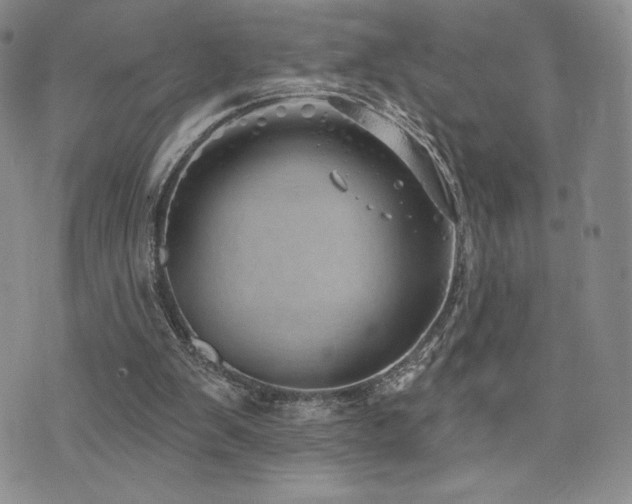 X0000071960103200607071503