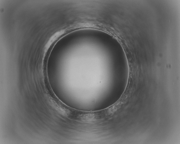 X0000071960104200607071503