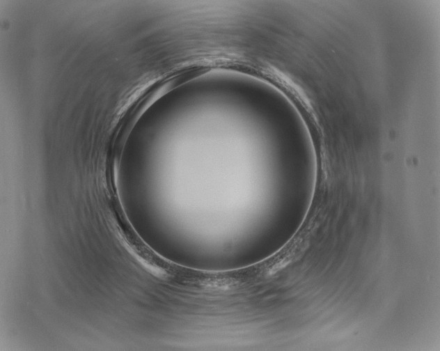 X0000071960105200607071503