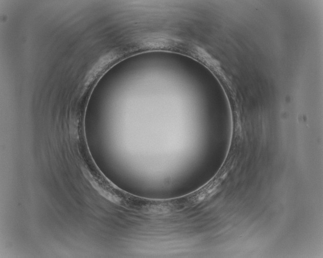 X0000071960106200607071502