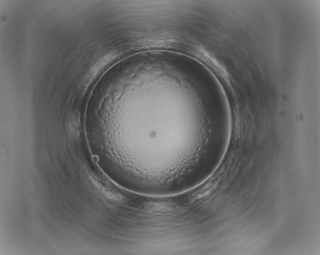 X0000071960107200607071502