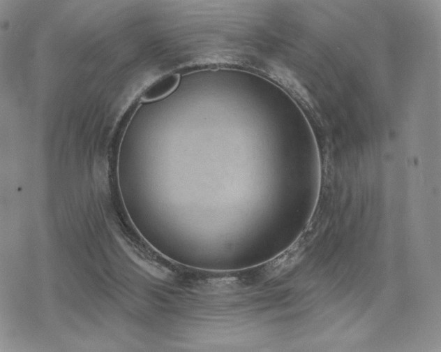 X0000071960108200607071502