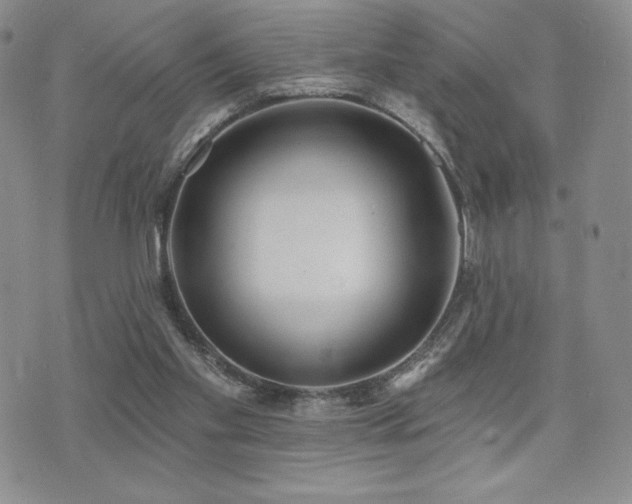 X0000071960109200607071502