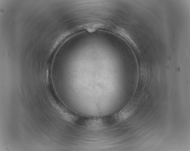 X0000071960110200607071502