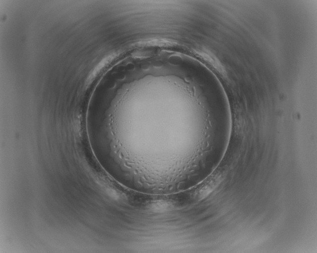 X0000071960111200607071502