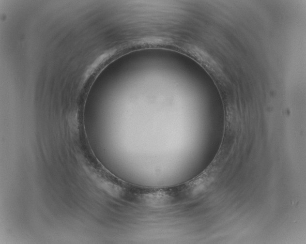 X0000071960112200607071502