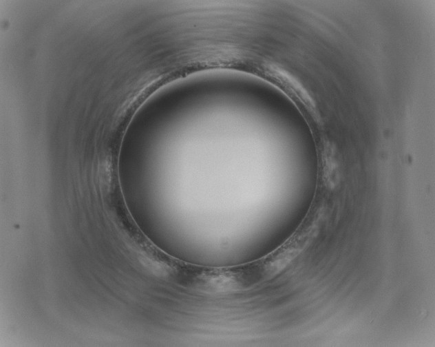 X0000071960113200607071502