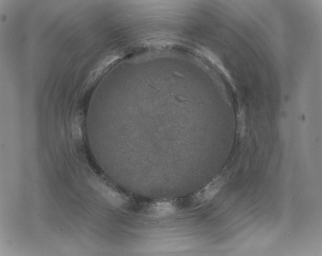 X0000071960114200607071502