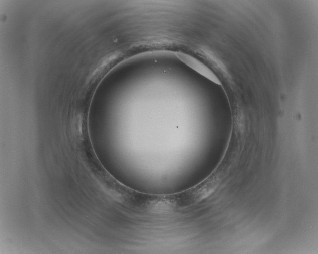 X0000071960115200607071502