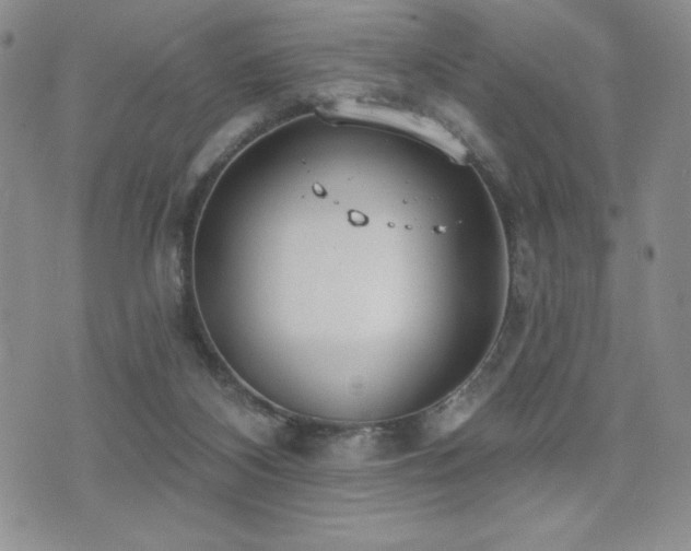 X0000071960116200607071502